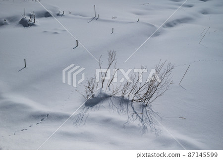 Lakeside surrounded by fresh snow [Nakatsuna Lake] 87145599
