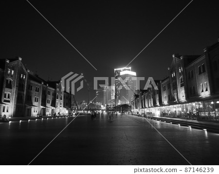 (Kanagawa) Yokohama Minatomirai and Red Brick Warehouse 87146239