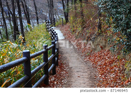 Scenery of 50,000 people's forest park in Gojo City, Nara Prefecture 87146945