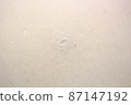 "Shoji, tear, repair, tear, prevention, Sakura, repair, pattern, shoji hole, remodeling," 87147192