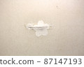 "Shoji, tear, repair, tear, prevention, Sakura, repair, pattern, shoji hole, remodeling," 87147193