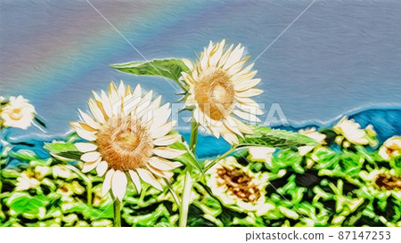 向日葵田 87147253