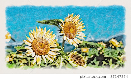 向日葵田 87147254