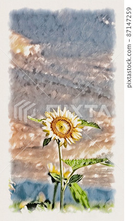 一個輪子的向日葵 87147259