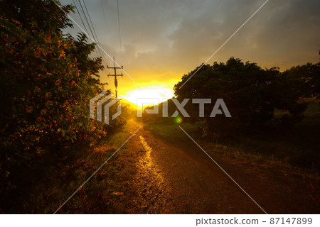 Sunlight and a dirt road in the countryside Sunlight and a dirt road in the countryside 87147899