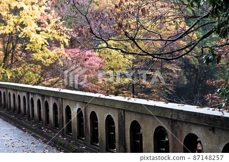 The balustrade of the autumnal trees and the stone bridge The balustrade of the autumnal trees and the stone bridge 87148257