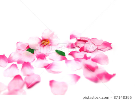 Sakura of artificial flowers Sakura of artificial flowers 87148396