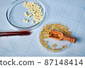Petri Dishes with Vitamins and Wooden Scoop - Photo on Graph Paper 87148414