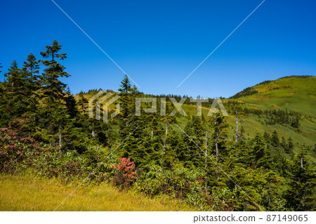 A small autumn on the Aizu-Komagatake mountain trail A small autumn on the Aizu-Komagatake mountain trail 87149065