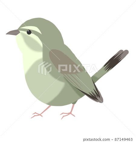Cute illustration of warbler Cute illustration of warbler 87149463
