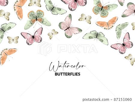 Template with watercolor illustrated butterflies and moths. Hand drawn insects. Design for packaging, label and greeting card. 87151060