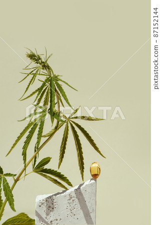 CBD oil in capsule and leaf of marijuana, cannabis CBD oil in capsule and leaf of marijuana, cannabis 87152144