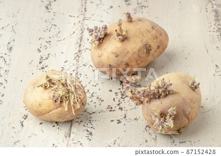 closeup of sprouted potatoes on wooden table 87152428