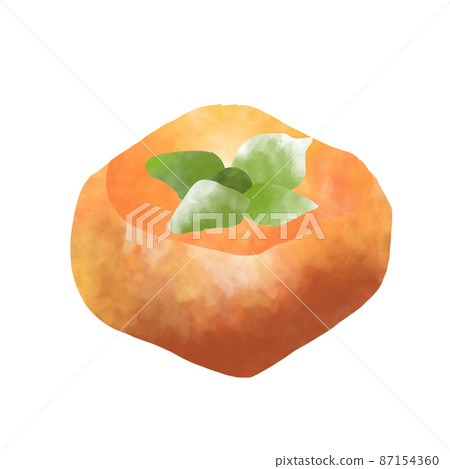 水果柿子水彩風格插畫 水果柿子水彩風格插畫 87154360