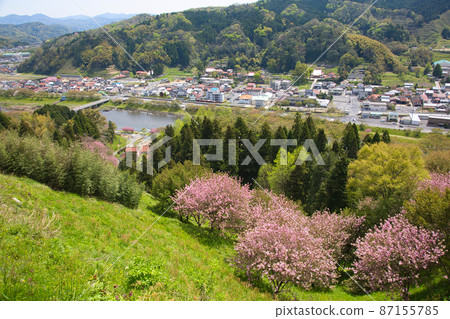 <Shimane Prefecture> Townscape of Mitoya-cho, Unnan City, where double cherry blossoms bloom 87155785