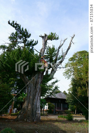 2641 興勝寺小山卷 2641 興勝寺小山卷 87155834