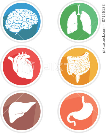 Human Internal Organ Icon Body Parts Symbol Illustration Drawing Human Internal Organ Icon Body Parts Symbol Illustration Drawing 87156188