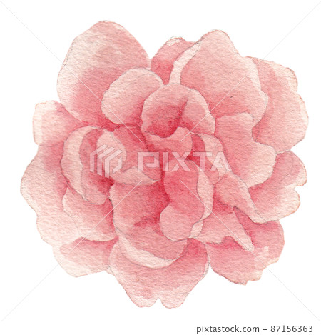 Watercolor with tropical elements. Leaves, red for printing on fabrics, dishes, prints, clothing, postcards, mugs. Flower set with watercolor elements with flowers and leaves. 87156363