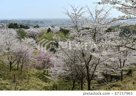 View of the city from the top of Sakuranoyama Park in Ogose Town 87157965