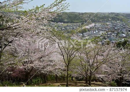 從越瀨町櫻山公園的山頂俯瞰城市 87157974
