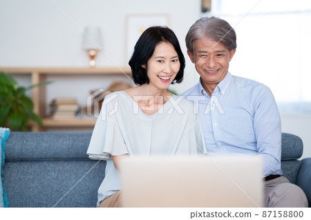 Senior couple seeing computer 87158800