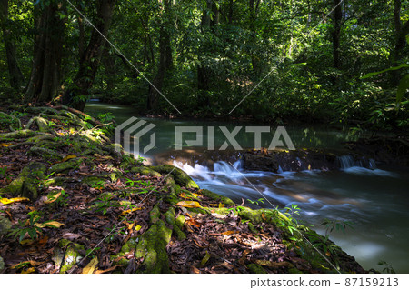 Than Bok khorani waterfall. Than Bok khorani waterfall. 87159213