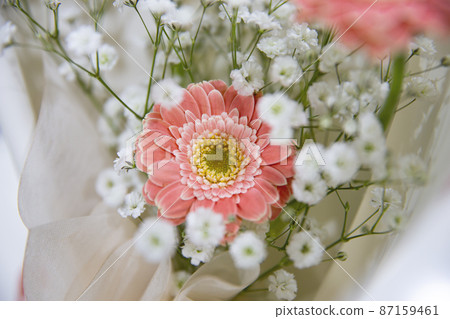 花束 花束 87159461