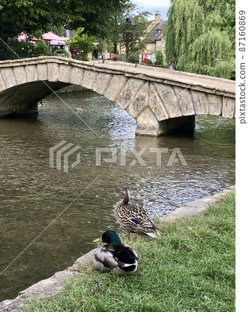 England Cotswolds Bourton on the Water and a pair of mallards 87160869