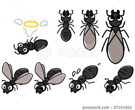 Cute black ant character set Cute black ant character set 87161063