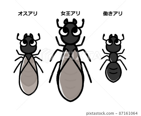 Cute black ant character set Cute black ant character set 87161064