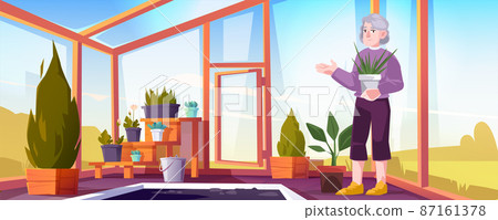 Senior woman in greenhouse care of garden plants 87161378