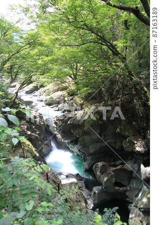 阿波陶罐 87163189