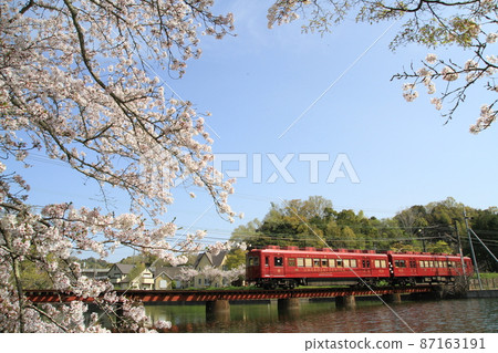 賞櫻列車 87163191