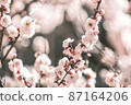 Scenery with plums 87164206