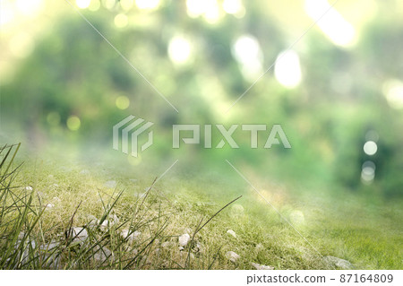 Green grass field 87164809