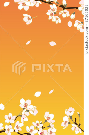 花散落花瓣 櫻花枝盛開 放大 3 87165023