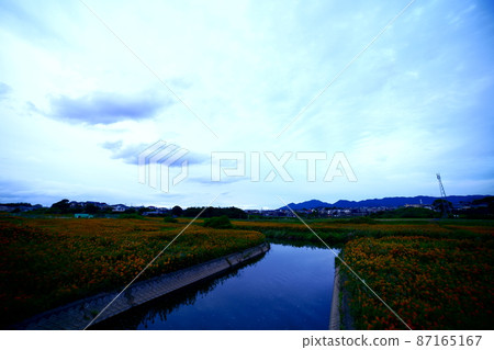 Aqueduct and Solidago altissima Aqueduct and Solidago altissima 87165167