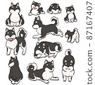 Shiba Inu (black) set 87167407
