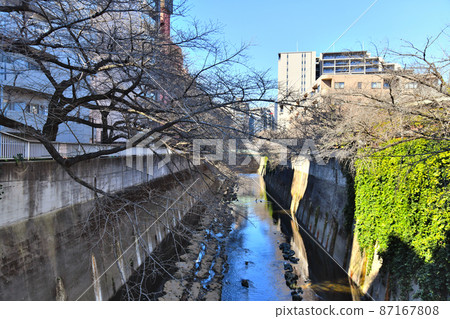從中橋/神田川向上游看（東京都新宿區）[2022.2] 87167808