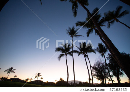 The dawn of Hawaii Island where the sun is just rising from the other side of the palm tree hill taken with a super wide-angle lens The dawn of Hawaii Island where the sun is just rising from the other side of the palm tree hill taken with a super wide-angle lens 87168385