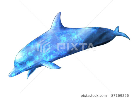 Fantastic dolphin Fantastic dolphin 87169236