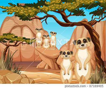 Desert scene with cute little meerkats Desert scene with cute little meerkats 87169405
