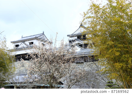 Iyo Matsuyama城堡在早春 87169562