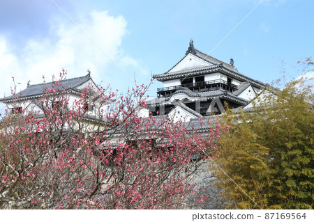 Iyo Matsuyama城堡在早春 87169564
