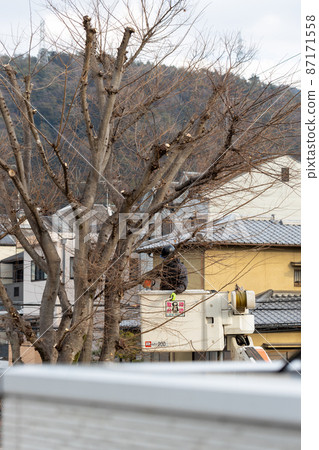 Pruning a tree branch that has grown in the park 87171558
