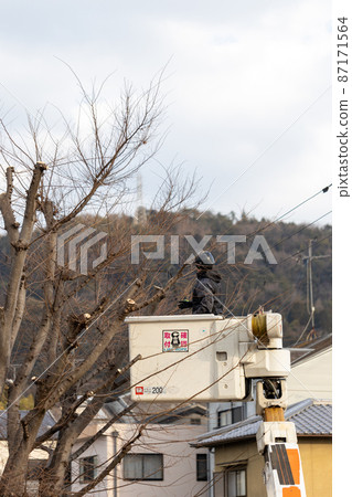 Pruning a tree branch that has grown in the park 87171564