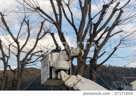Pruning tree branches in the park 87171604