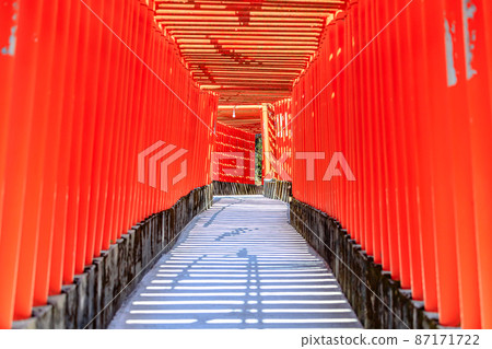 Fukutoku Inari Shrine Senbon Torii, Shimonoseki City, Yamaguchi Prefecture 87171722