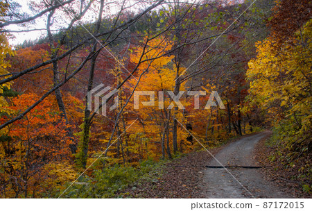 Nakanomata Valley Forest Road, Kitaakita City, Akita Prefecture Nakanomata Valley Forest Road, Kitaakita City, Akita Prefecture 87172015