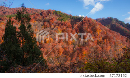 Autumn-colored mountain Nakanomata Valley A view along the forest road leading to Yasu-no-Taki, Kitaakita City, Akita Prefecture 87172162